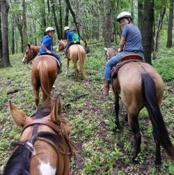 Trail riding with Grandma