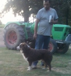 Big green tractor